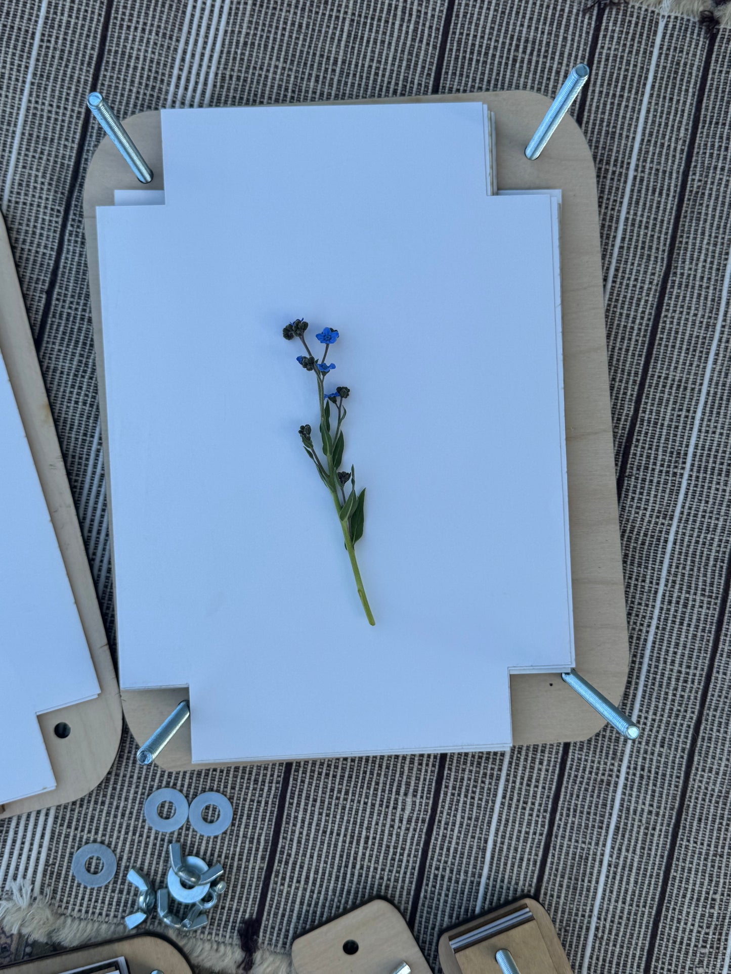 Jumbo Flower Press-8.5"x11"