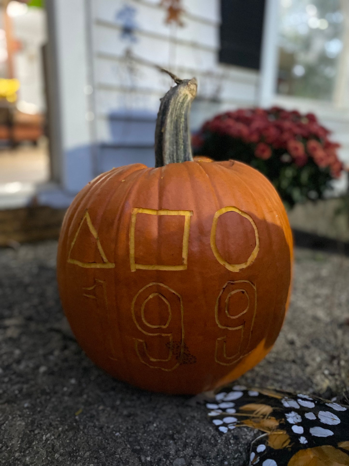 Sunday, October 19th 2-5pm: Pumpkin Carving/Decorating!