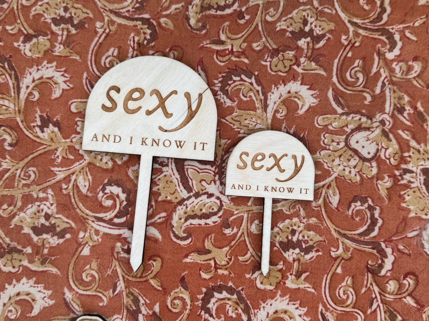 Sexy and I Know It Plant Stake