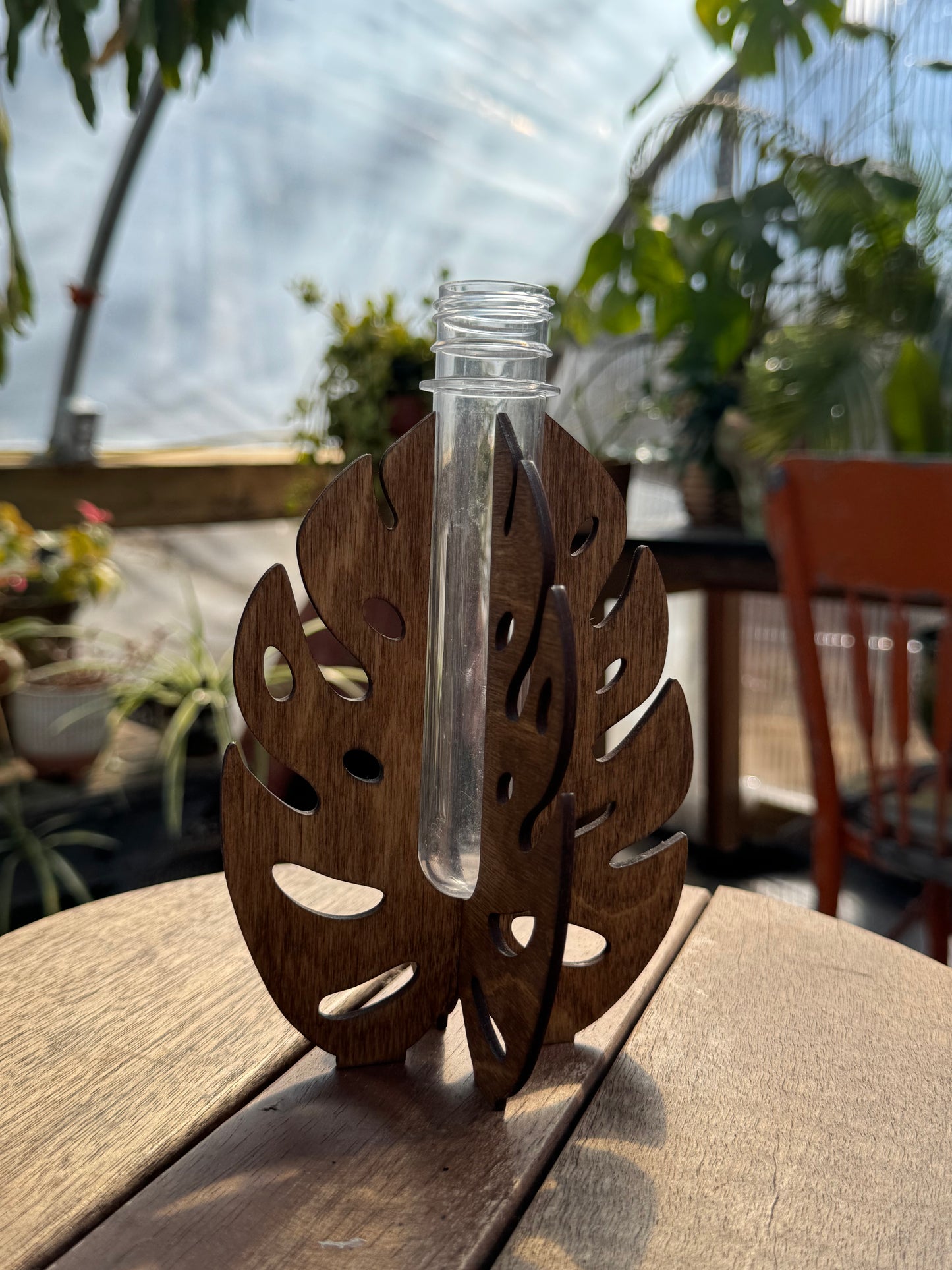 Monstera Propagation Station/Bud Vase