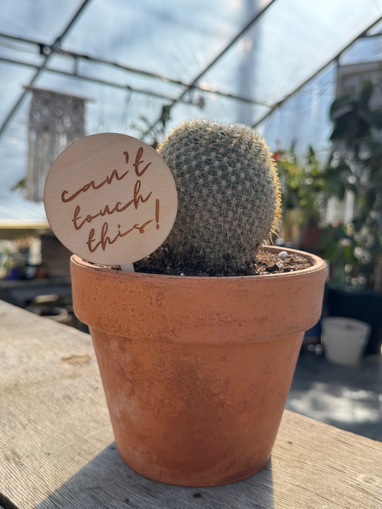 Can't Touch This! Plant Stake