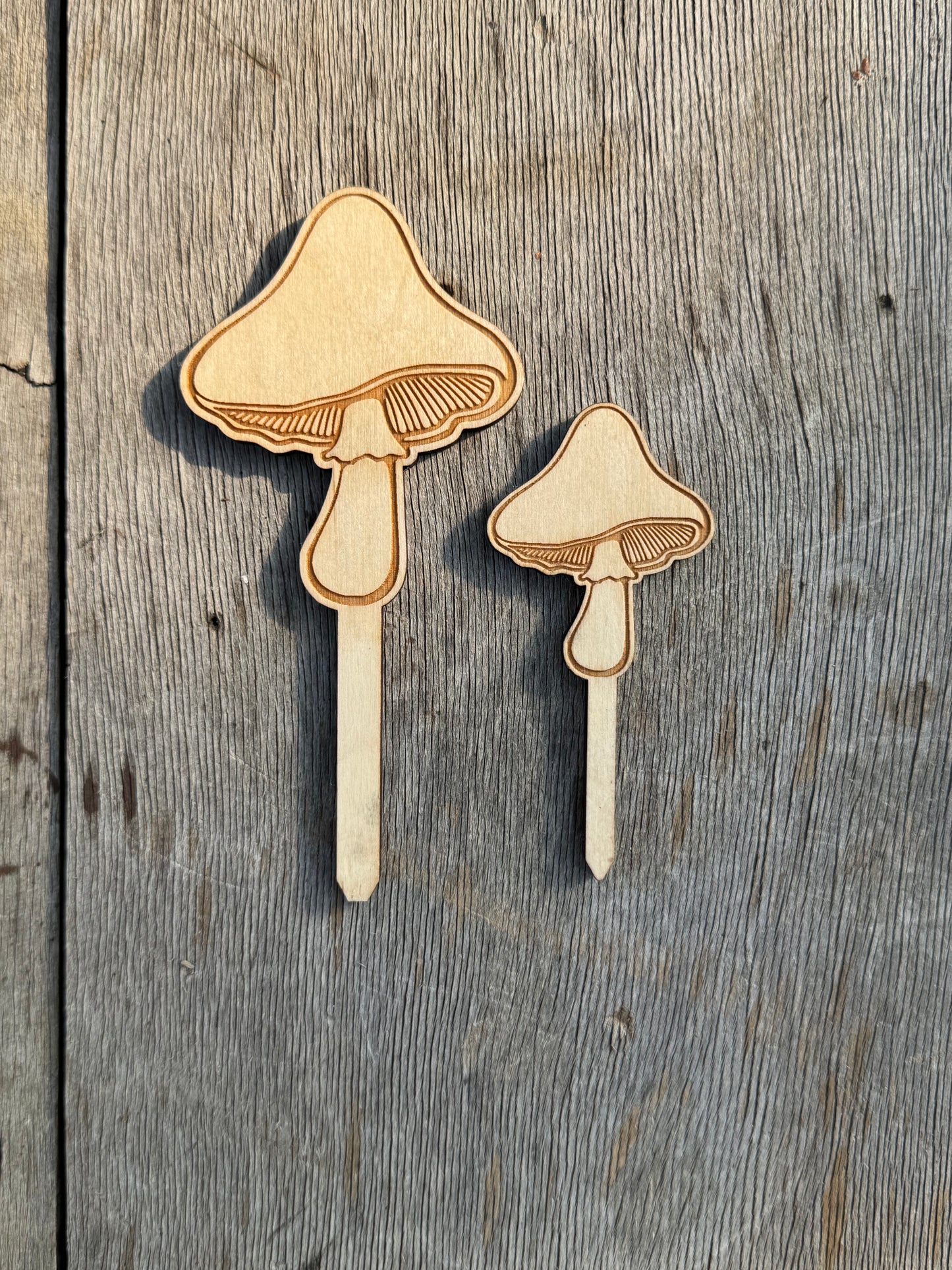 Cap Mushroom Plant Stake