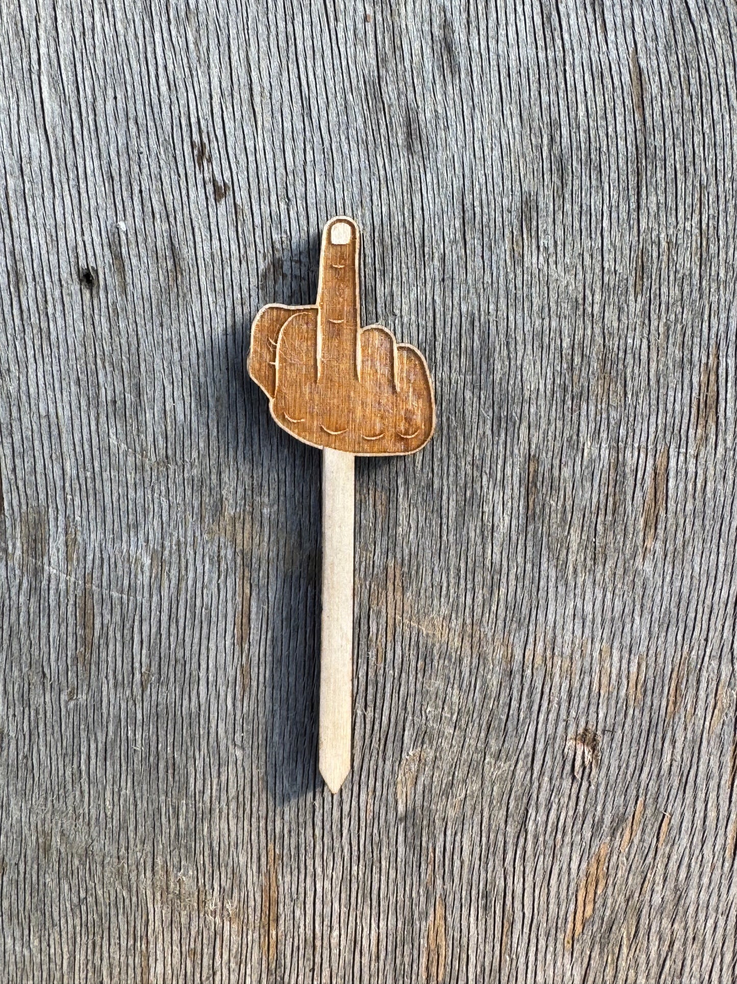 Middle Finger Plant Stake