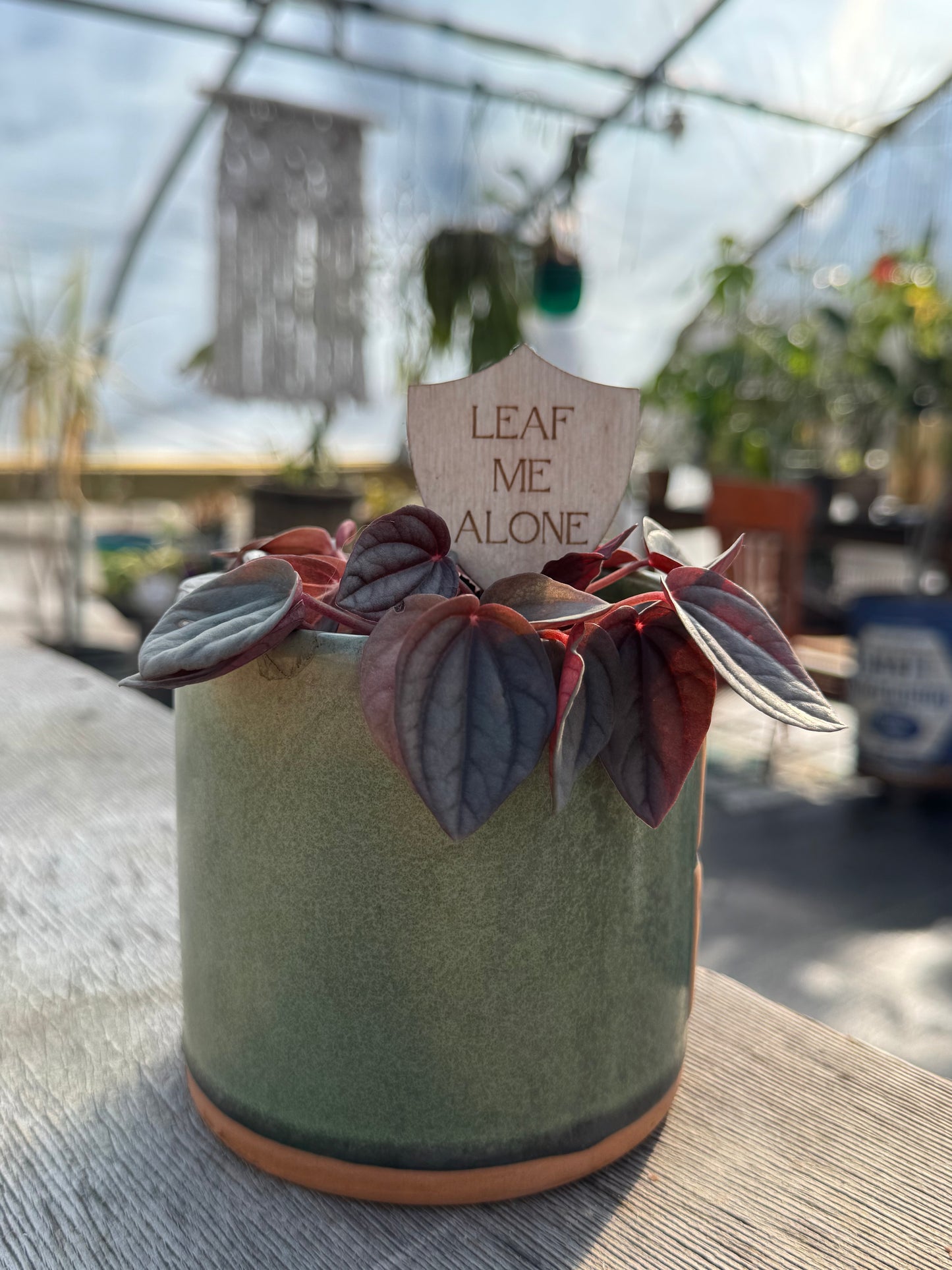 Leaf Me Alone Plant Stake