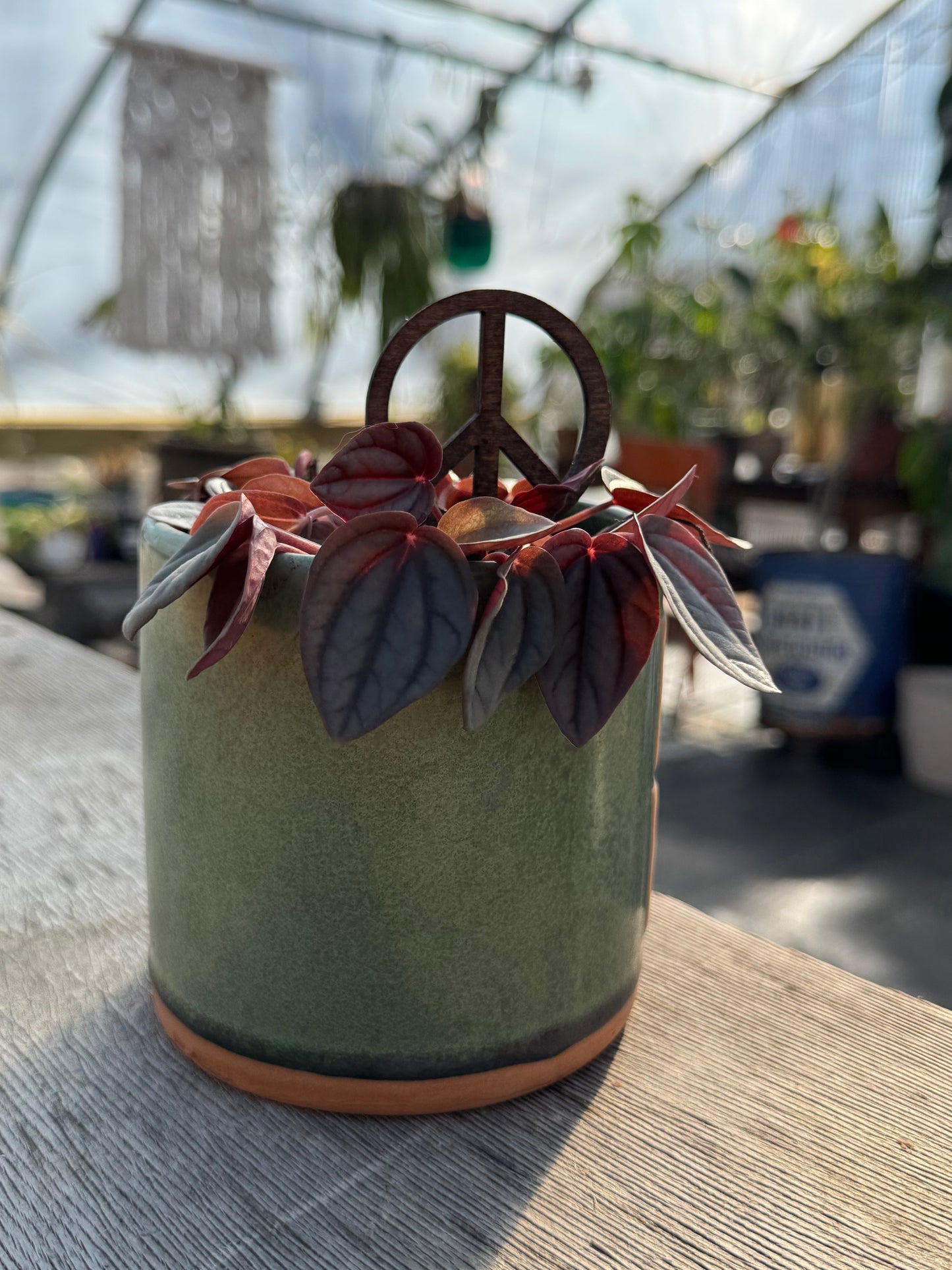 Peace Sign Plant Stake