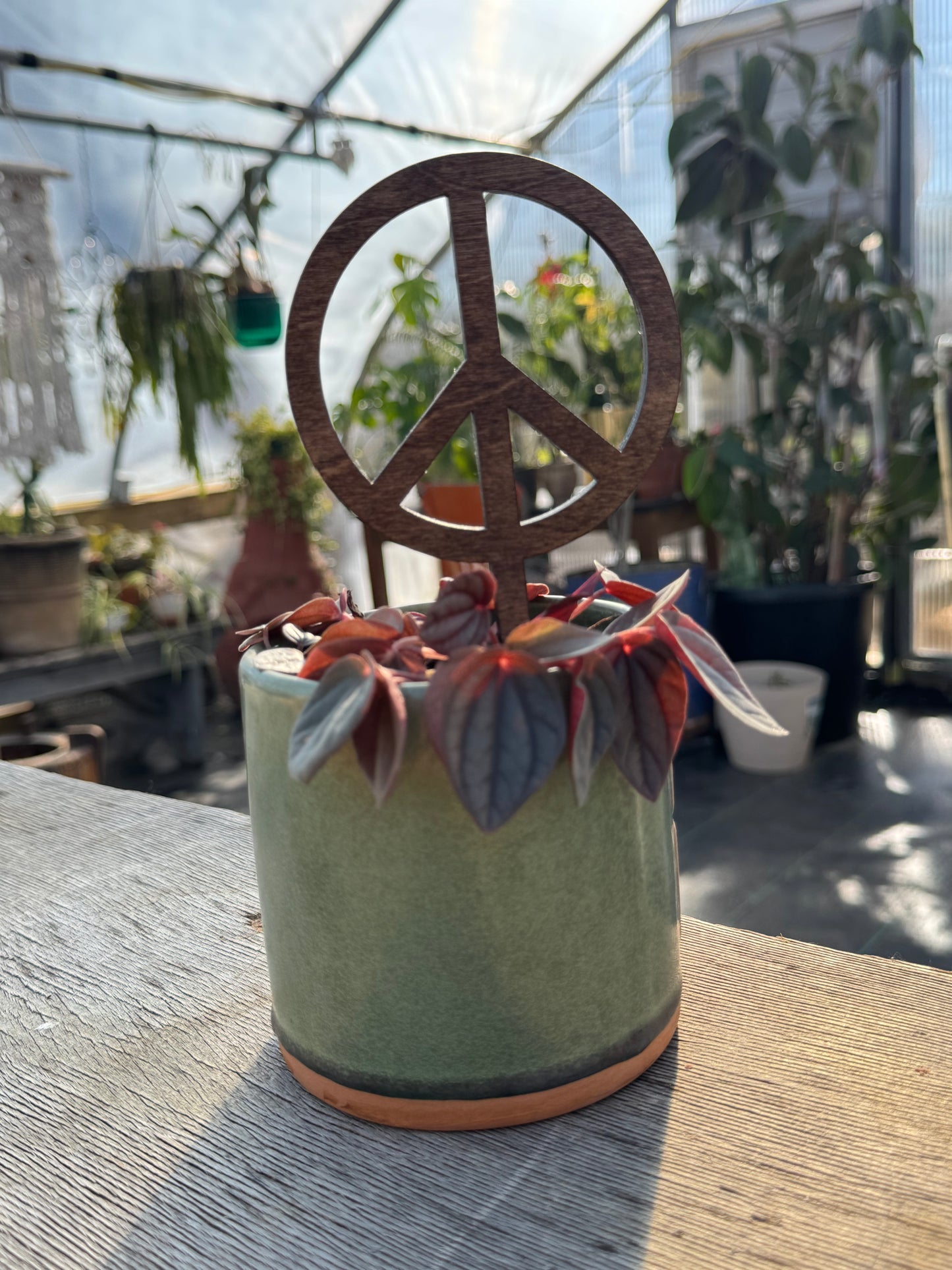 Peace Sign Plant Stake