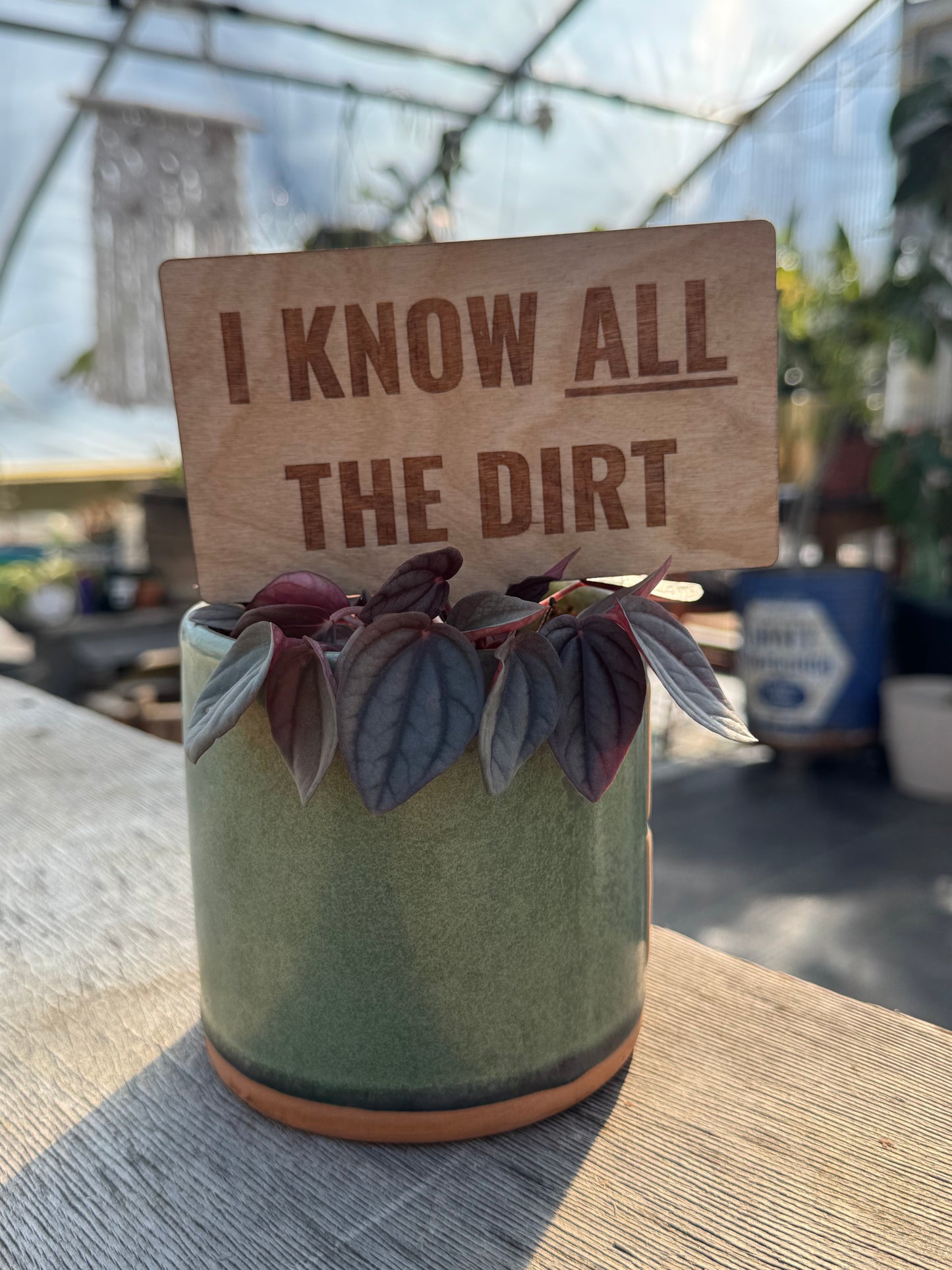 I Know All the Dirt Plant Stake