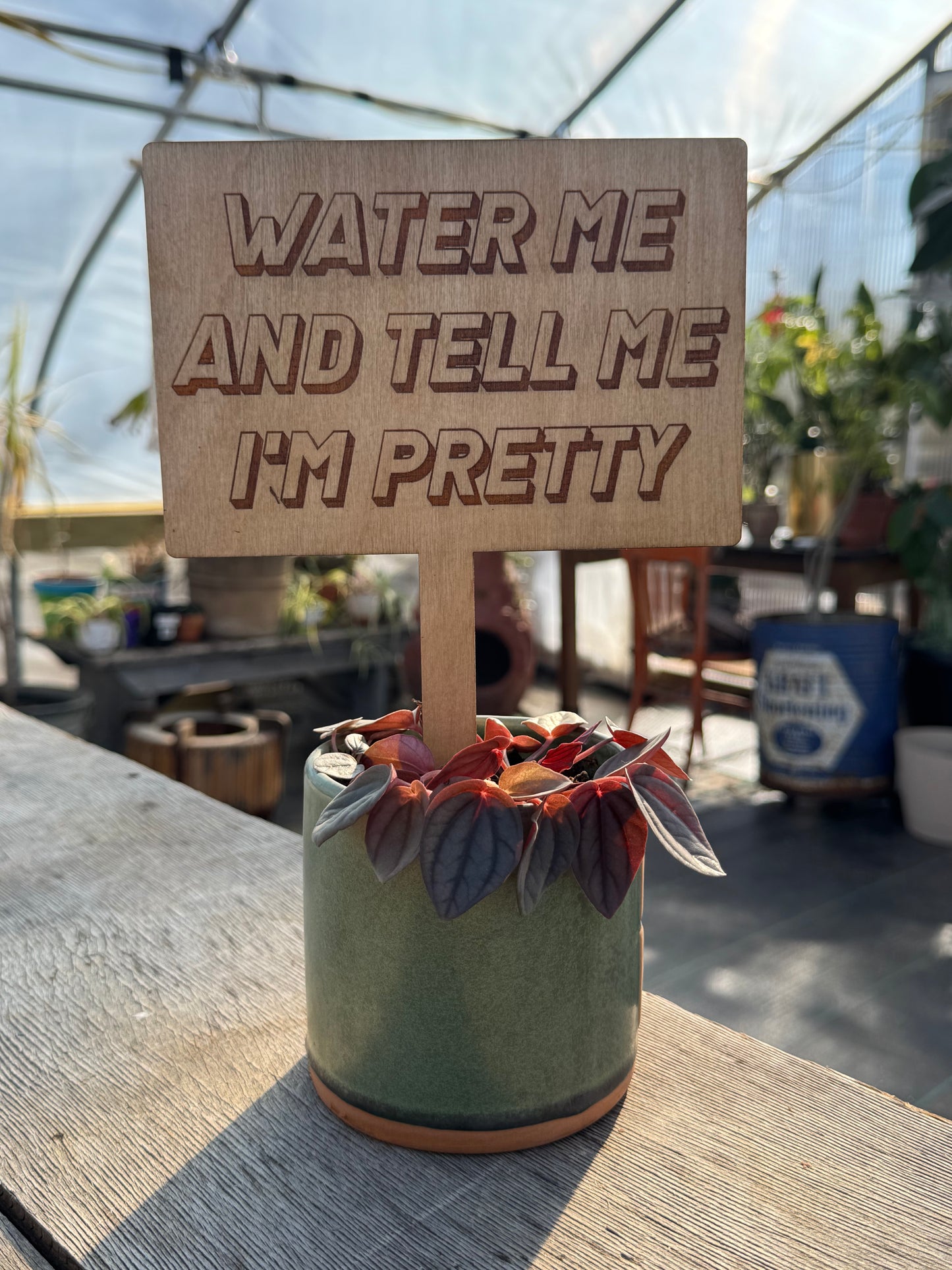 Water Me and Tell Me I'm Pretty Plant Stake
