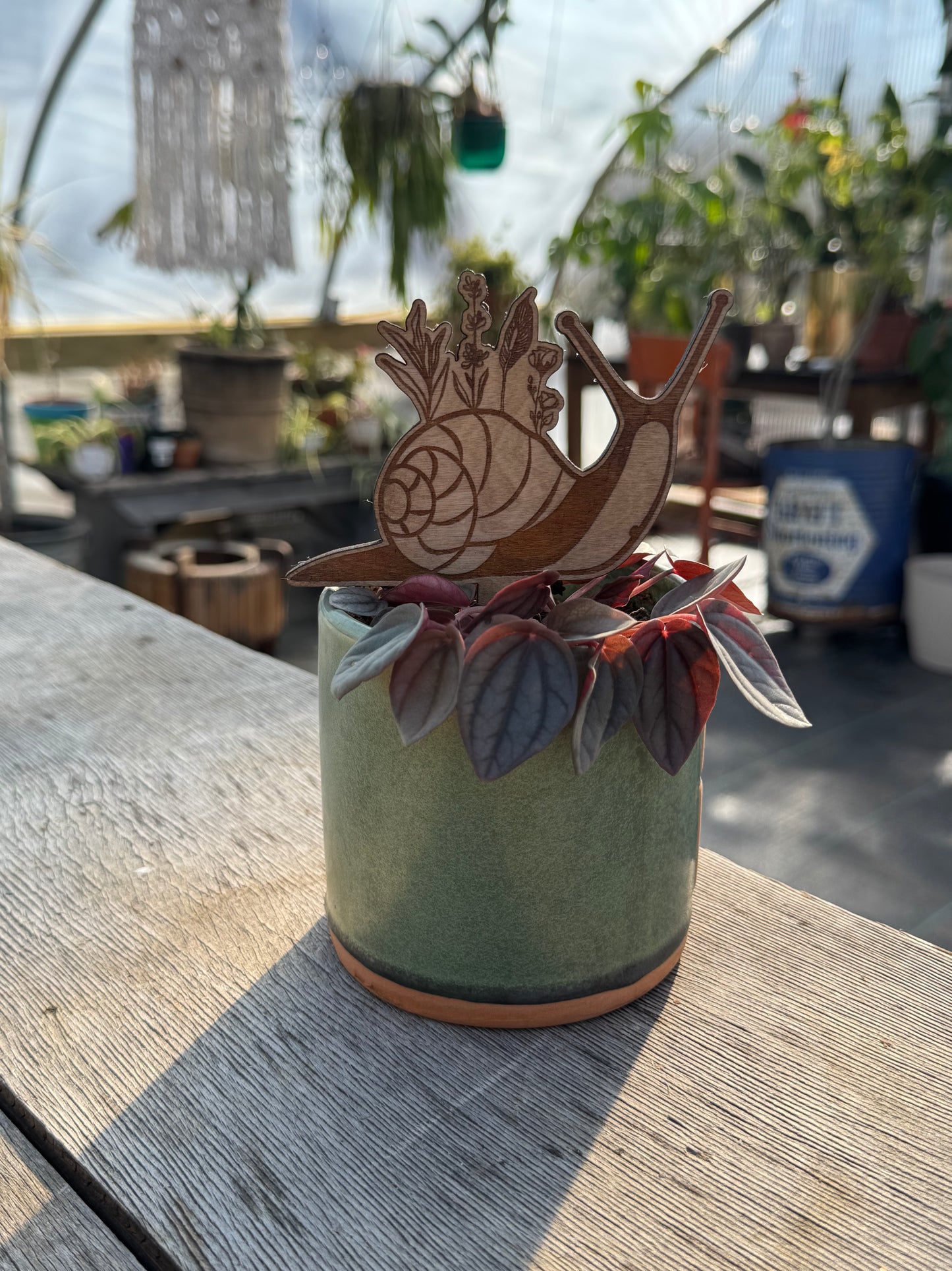 Lavender Moon Snail Plant Stake