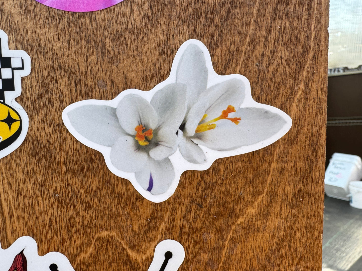 White Crocus Sticker