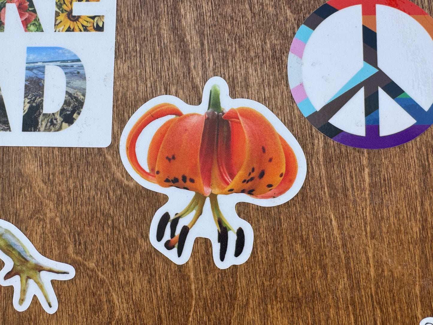 Michigan Lily Sticker