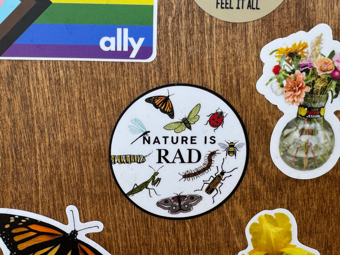 Nature is Rad with Bugs
