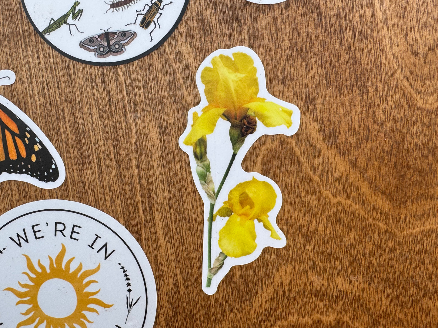 Yellow Iris Sticker
