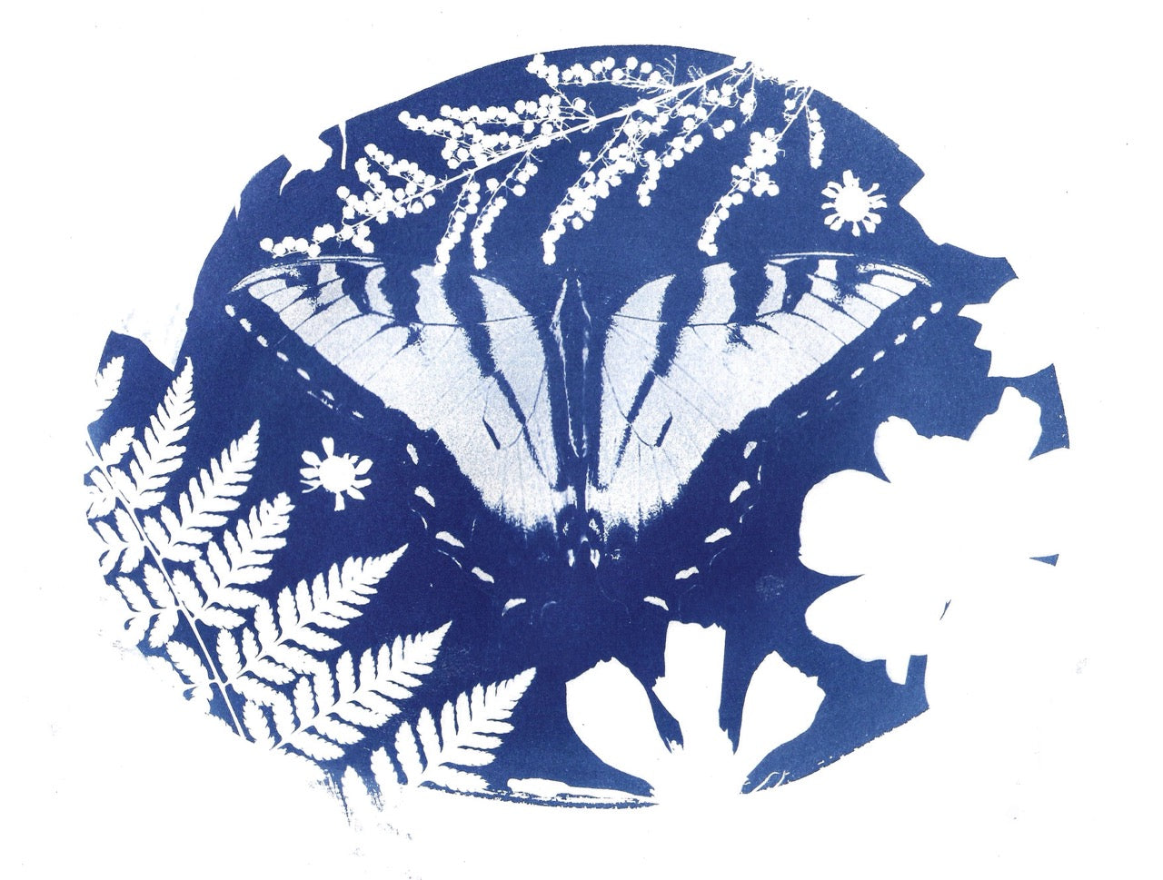 Eastern Tiger Swallowtail Cyanotype Print