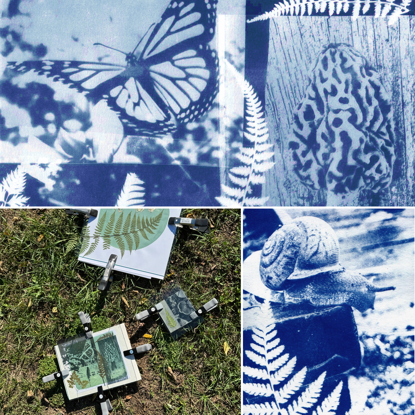 Sunday, June  28th 3-6pm: Cyanotype 2.0