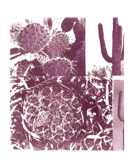 Desert Cyanotype Print
