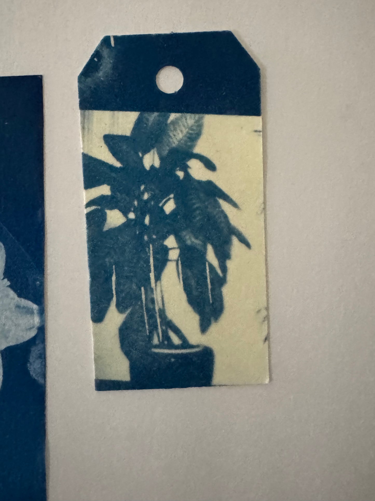 Sunday, June  28th 3-6pm: Cyanotype 2.0