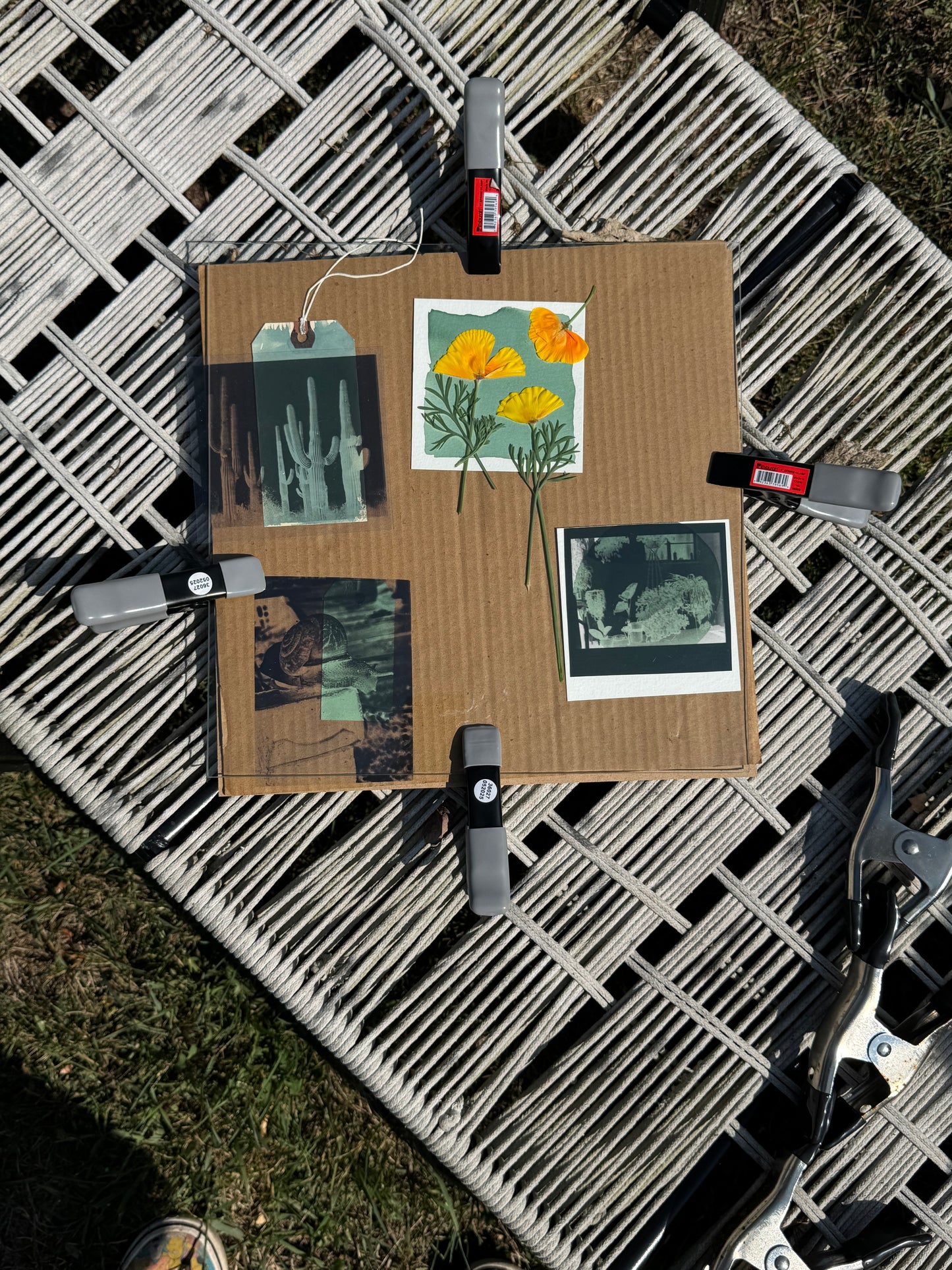 Sunday, June  28th 3-6pm: Cyanotype 2.0