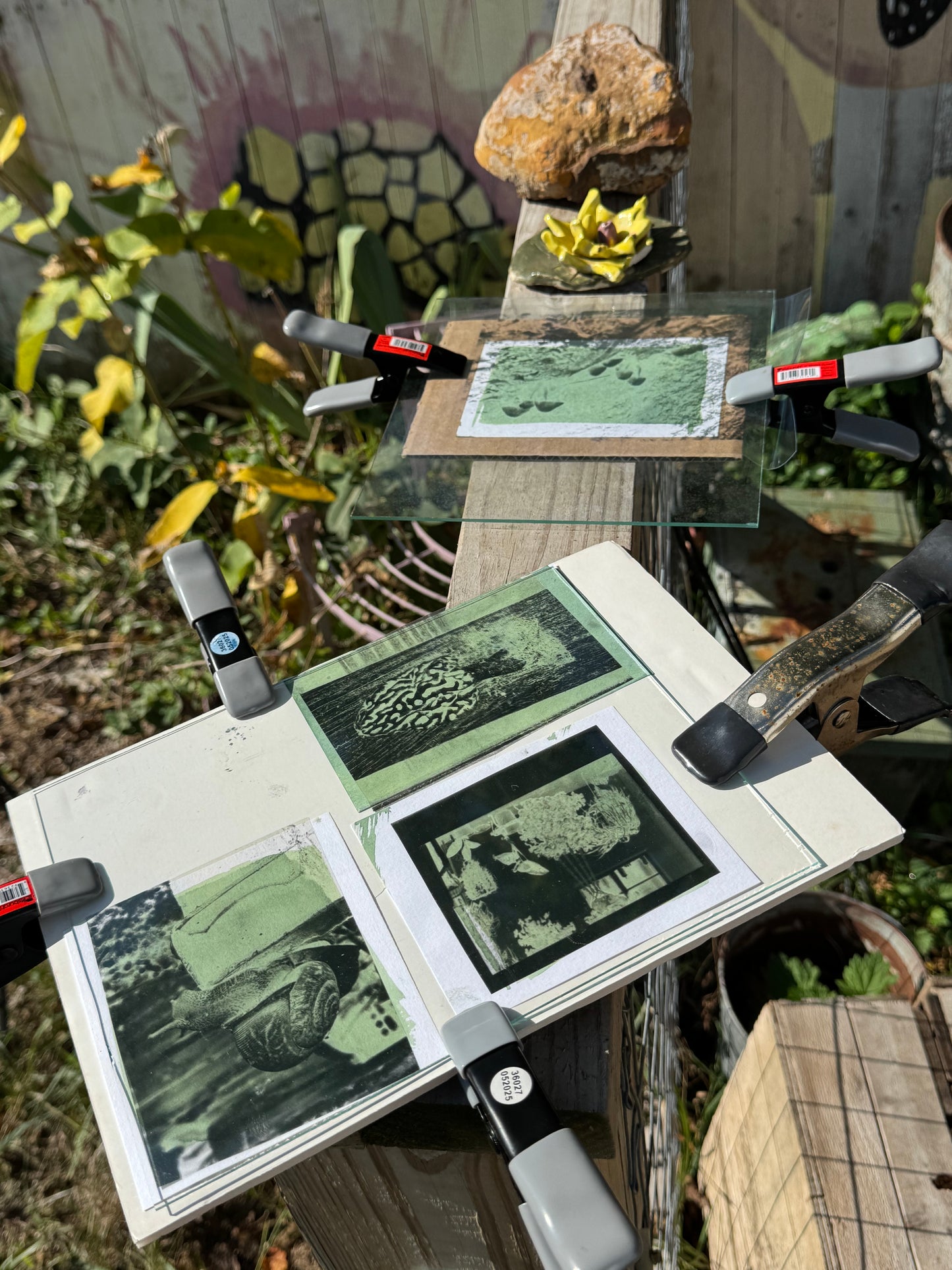 Sunday, June  28th 3-6pm: Cyanotype 2.0