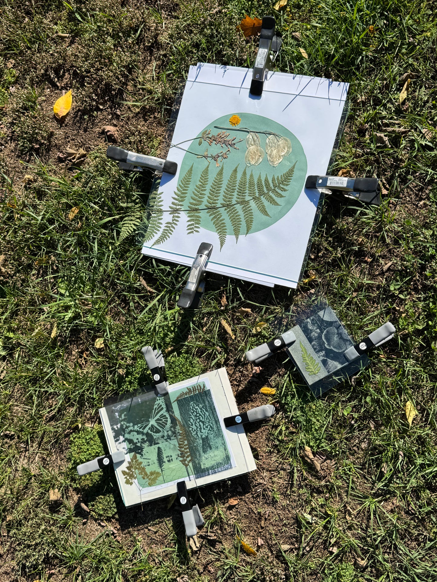 Sunday, June  28th 3-6pm: Cyanotype 2.0
