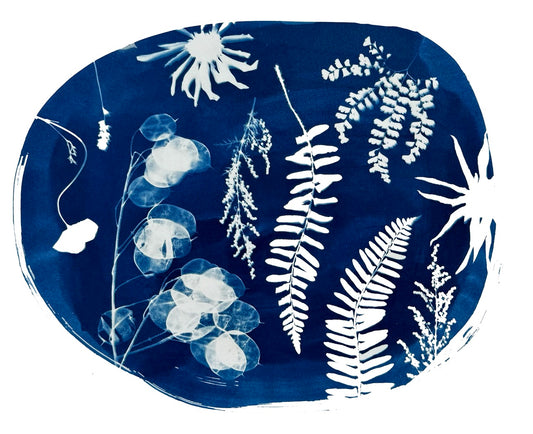Botanical Cyanotype Print