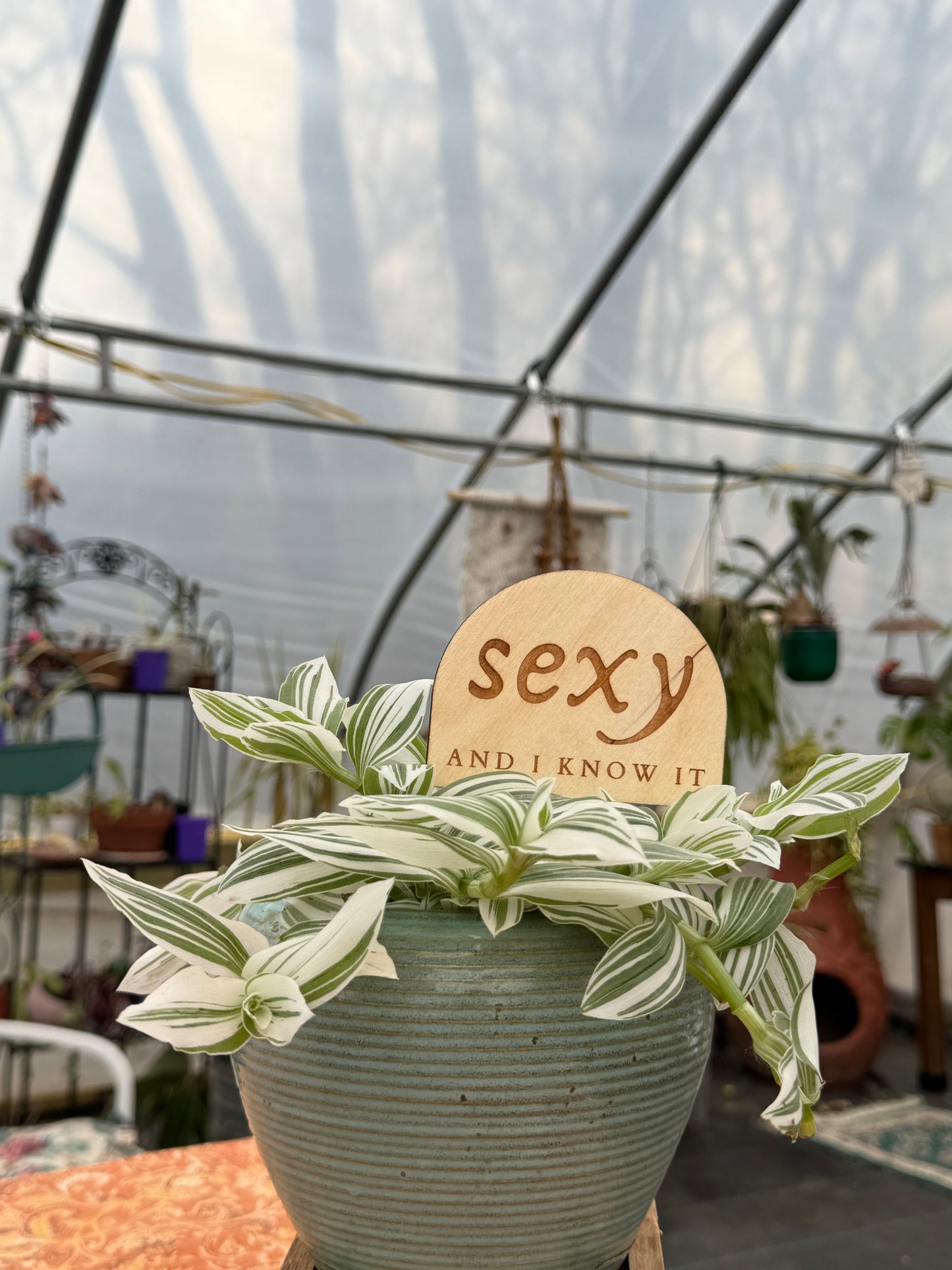 Sexy and I Know It Plant Stake