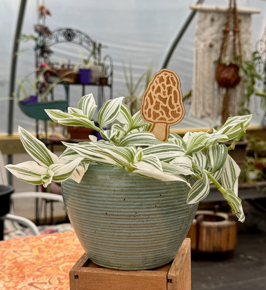 Morel Mushroom Plant Stake