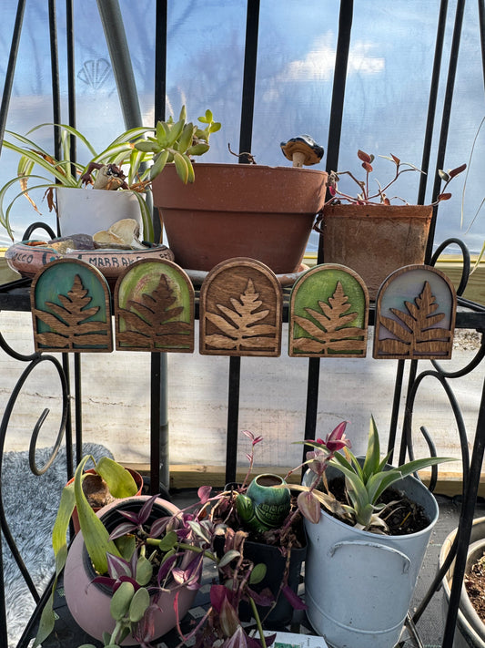 Sensitive Fern Painty Back Magnet