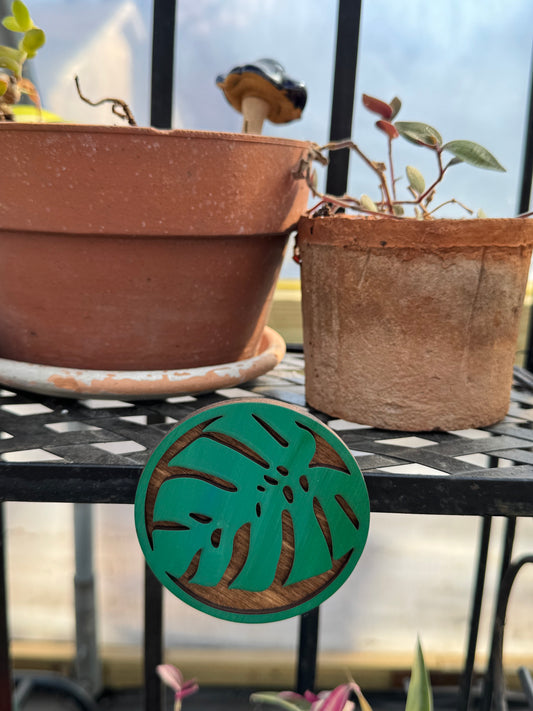 Monstera Leaf Magnet