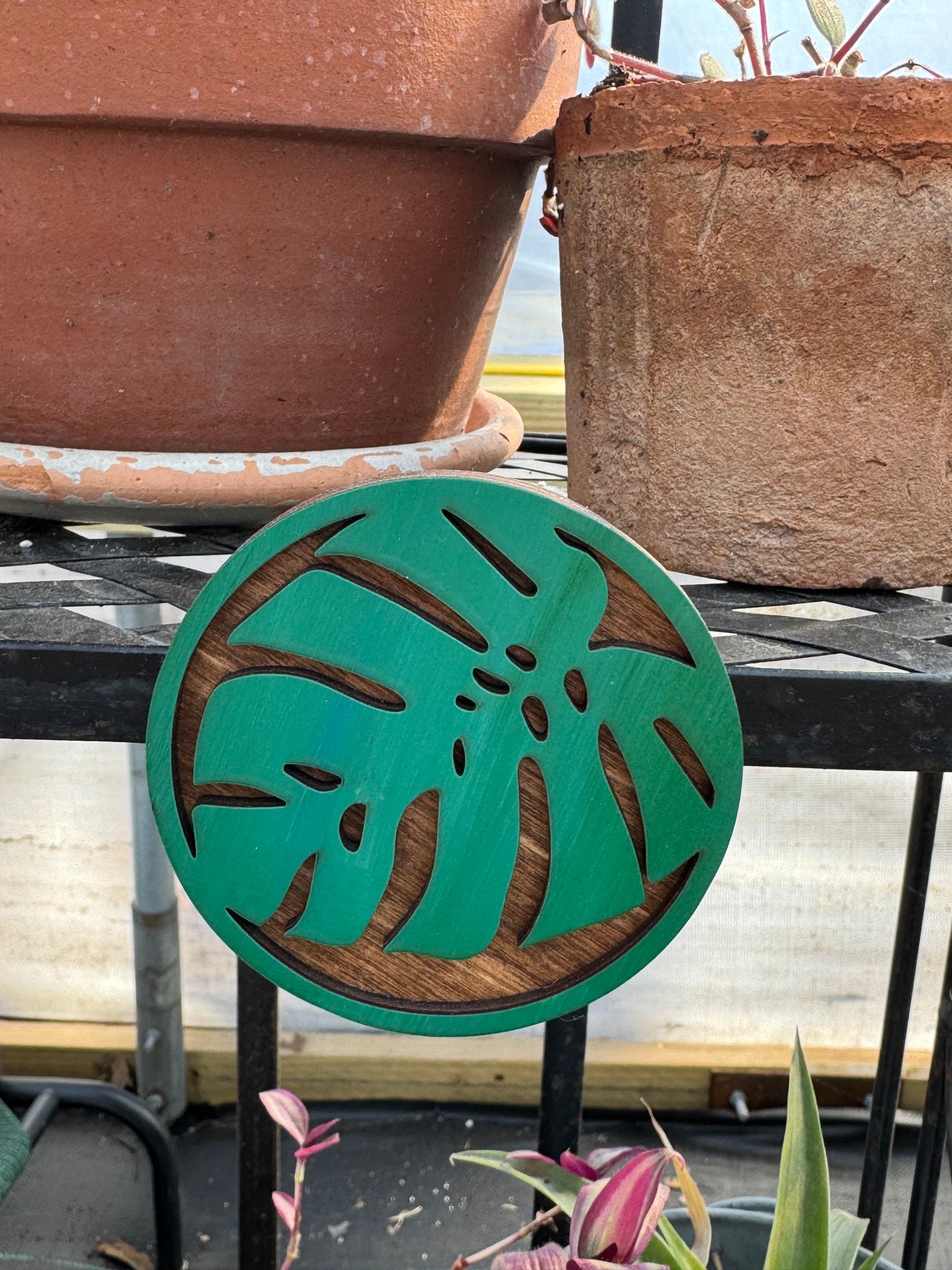 Monstera Leaf Magnet