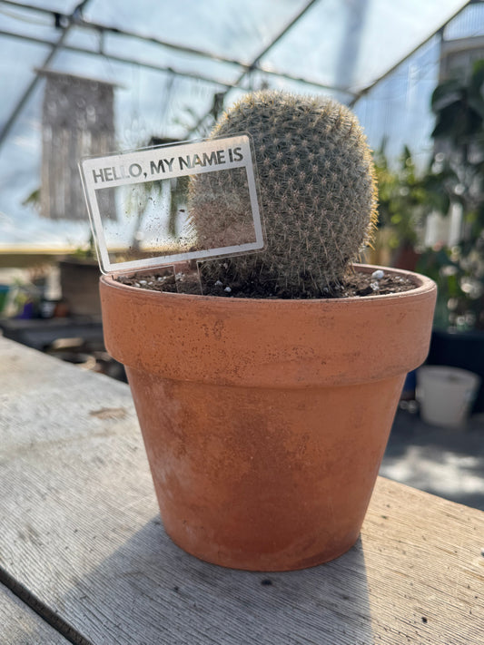 Hello My Name Is Plant Stake