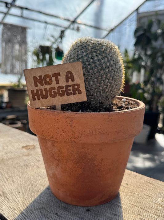 Not a Hugger Plant Stake