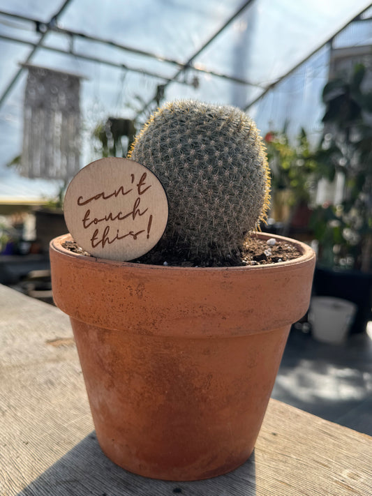 Can't Touch This! Plant Stake