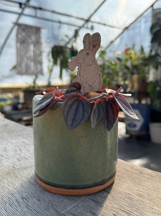 Rabbit Plant Stake