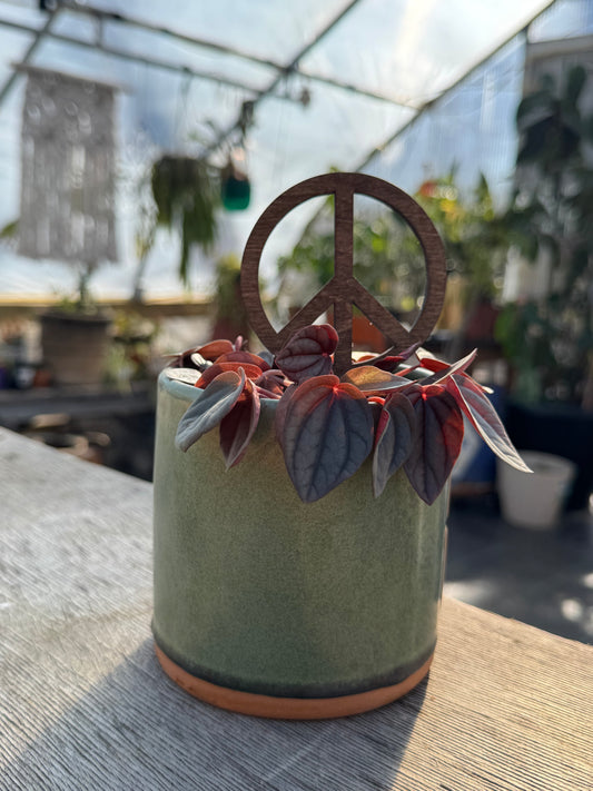 Peace Sign Plant Stake