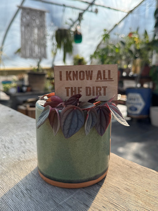 I Know All the Dirt Plant Stake
