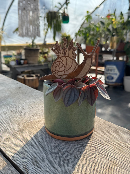 Lavender Moon Snail Plant Stake
