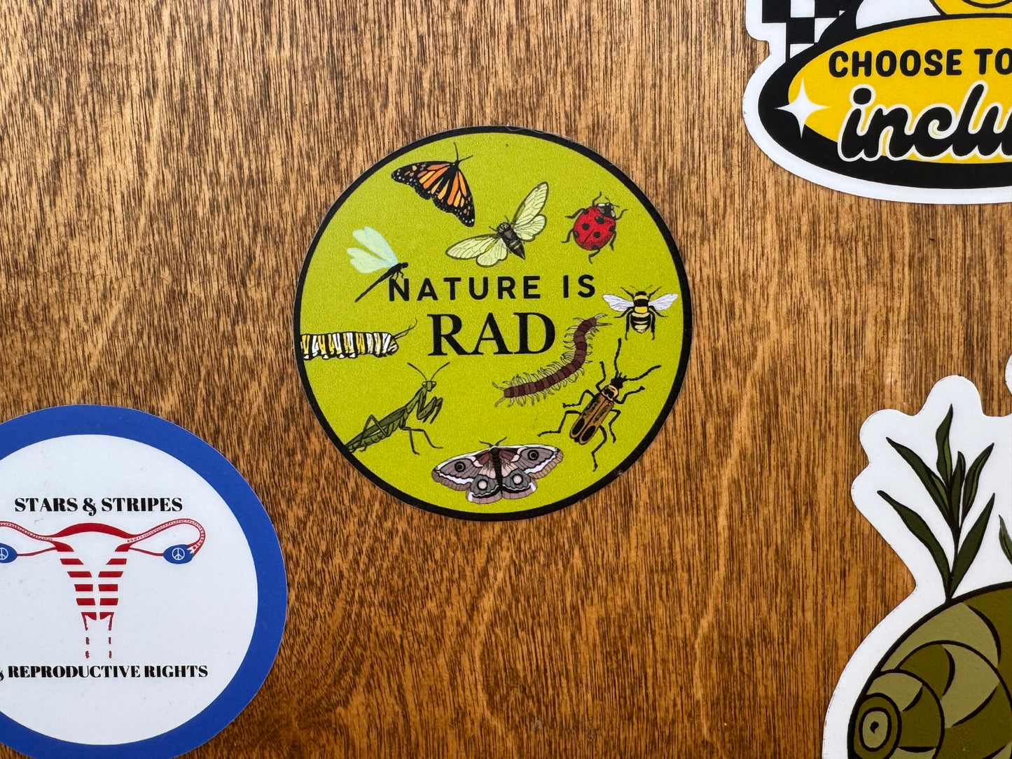 Nature is Rad with Bugs