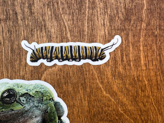Monarch Caterpillar Sticker