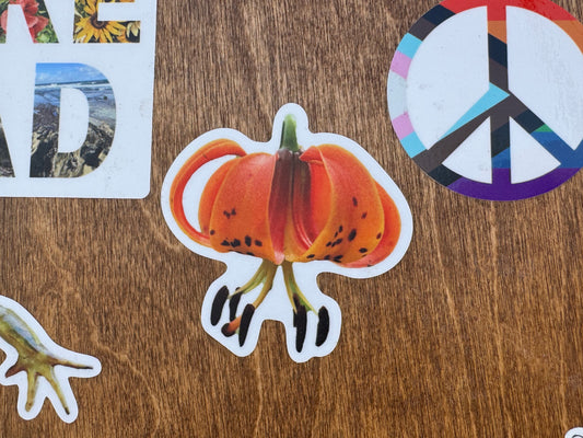 Michigan Lily Sticker