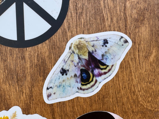 Io Moth Sticker