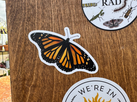 Female Monarch Sticker