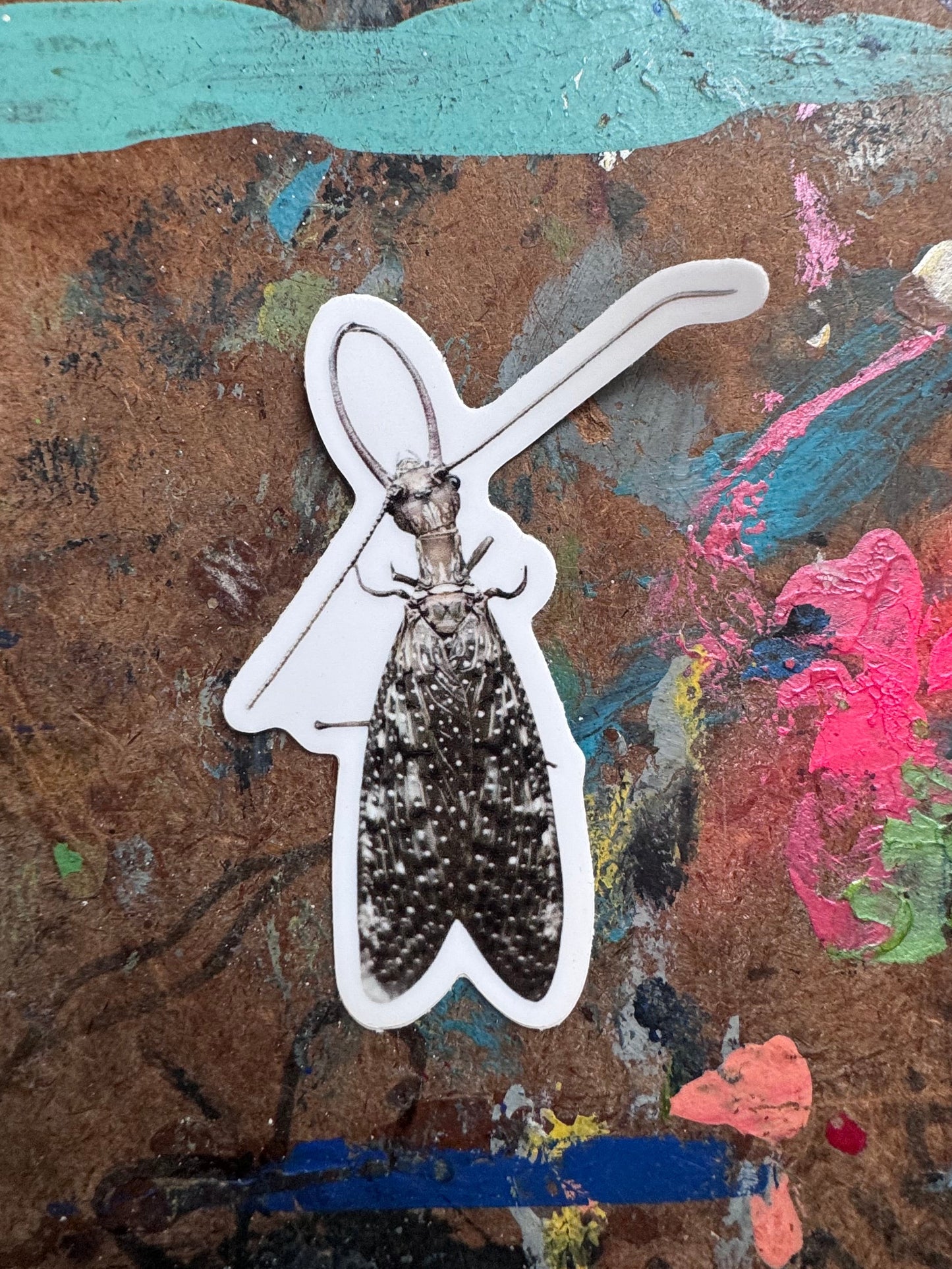 Dobson Fly Sticker