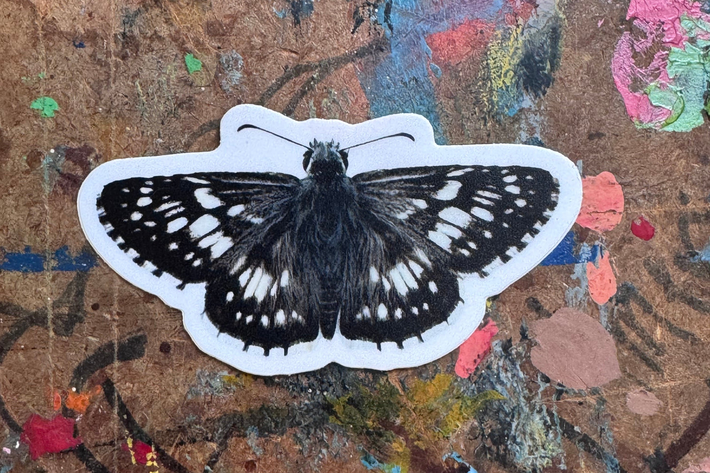 Common Checkered-Skipper Butterfly Sticker