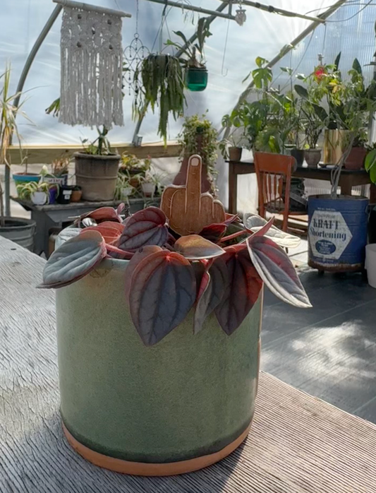 Middle Finger Plant Stake