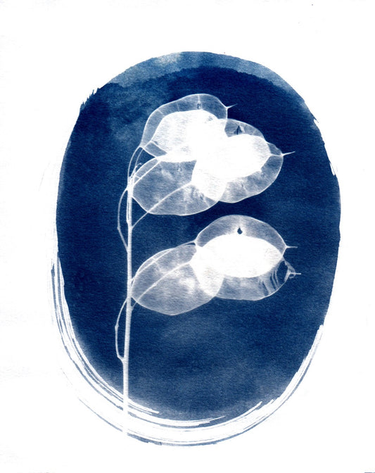 Money Plant Cyanotype Print