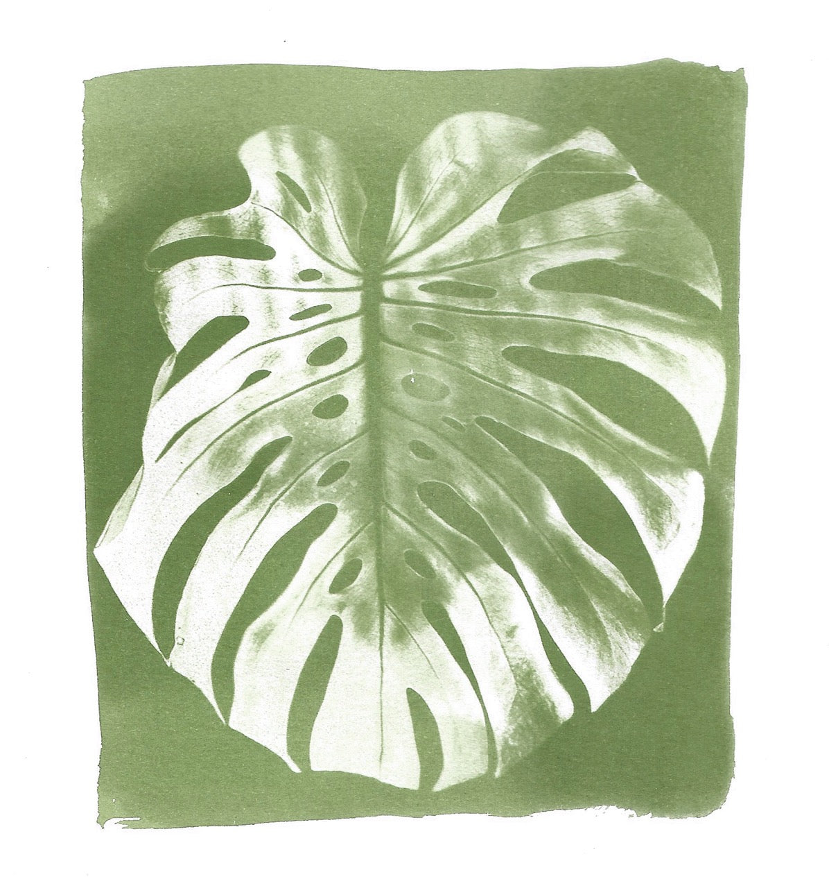 Green Monstera Leaf Cyanotype Print