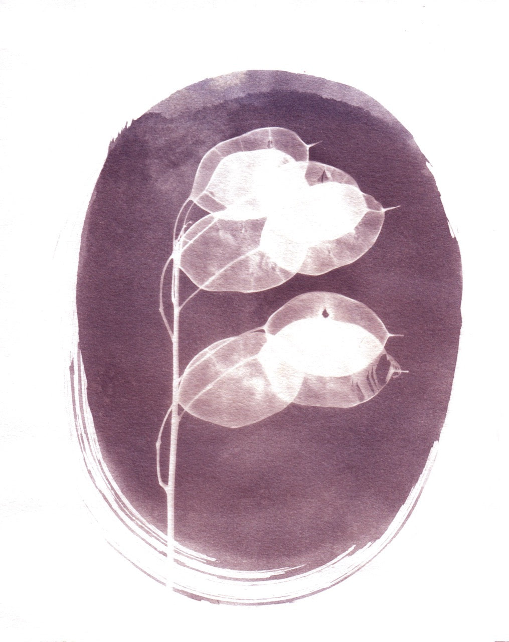 Money Plant Cyanotype Print